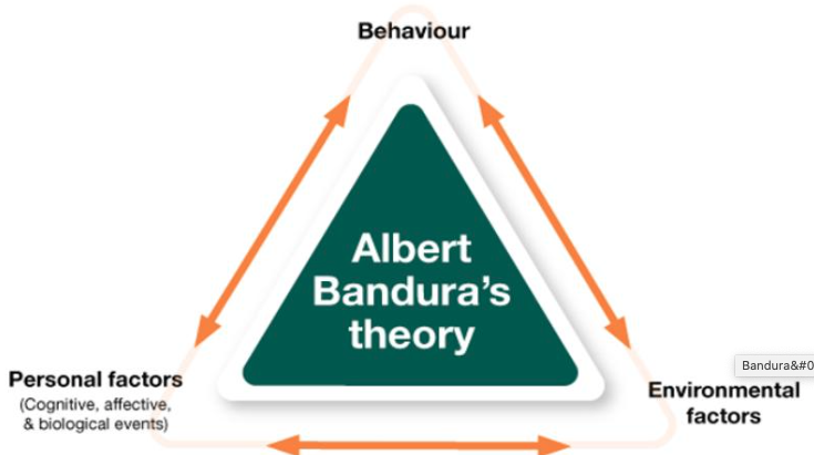 Bandura Social Learning Theory