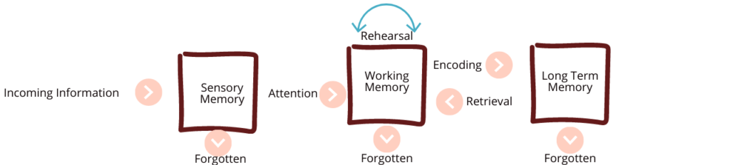 Cognitive Load Theory: Principles, Learning Processes, and Implications ...